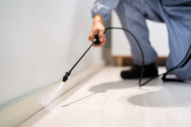 Licensed Termite Control service in Troy, NY - Nex Pest Control