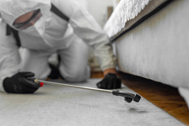 Professional Termite Control technician working in Troy, NY