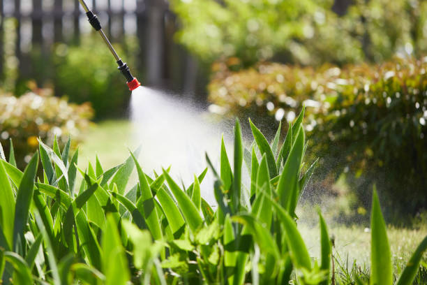 24/7 Emergency Termite Control experts in Troy, NY