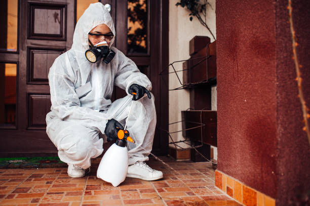 Reliable Termite Control contractor in Troy, NY by Nex Pest Control